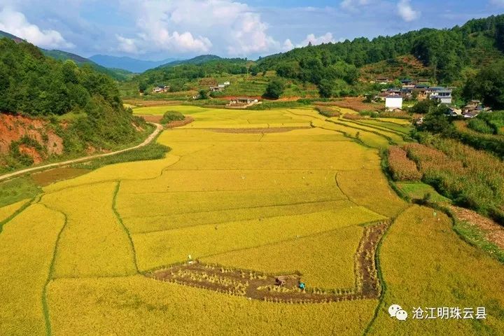 平昌县大寨镇图片