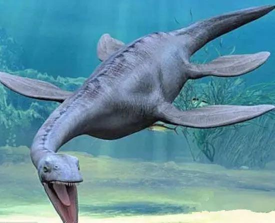 白垩纪生物十大远古海洋生物盘点