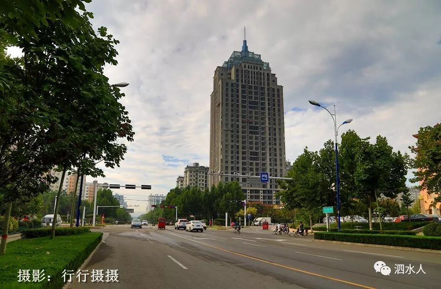 奇美泗水银杏林现在变成这样了泗水县城的这几个地方秋色真美