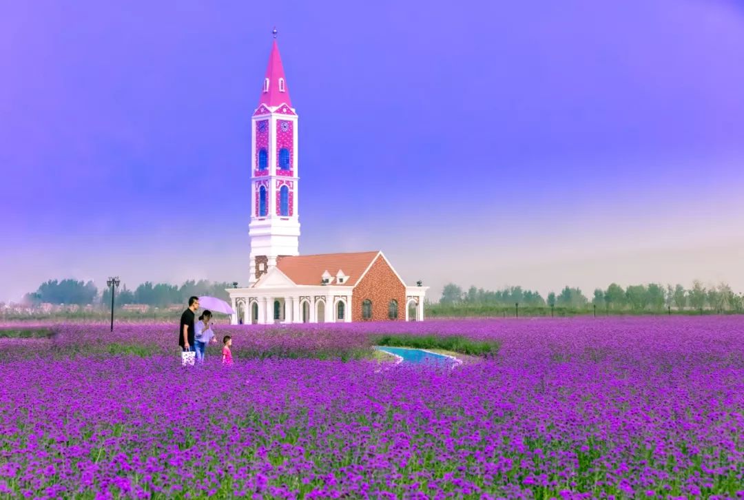 【等你来】"紫"为你,前所未有的紫色狂欢邀你放肆嗨!_伊甸园