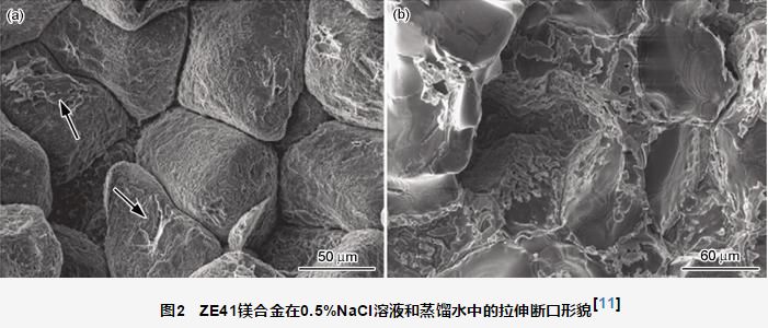镁合金应力腐蚀开裂行为研究进展