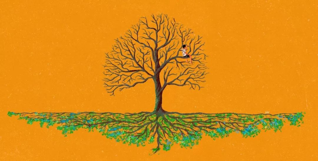 插画|温柔配色与超现实主义想象的碰撞