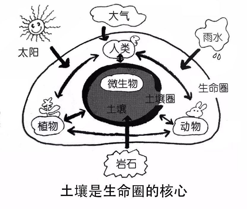 土壤基础知识讲解3