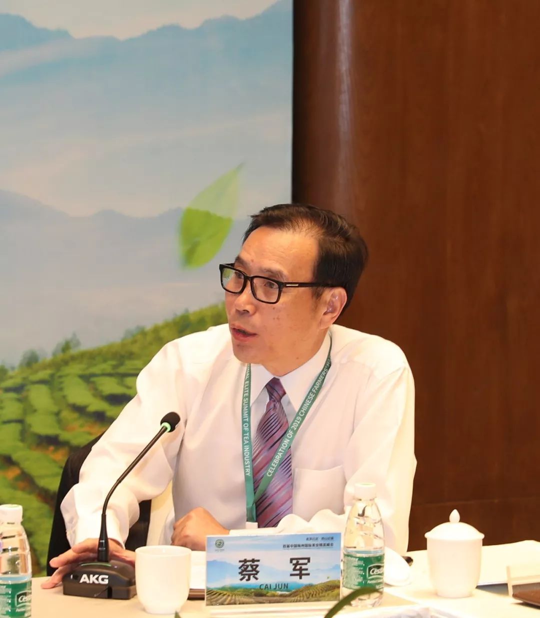 首届中国梅州国际茶业精英峰会举行媒体互动会 丰顺高山