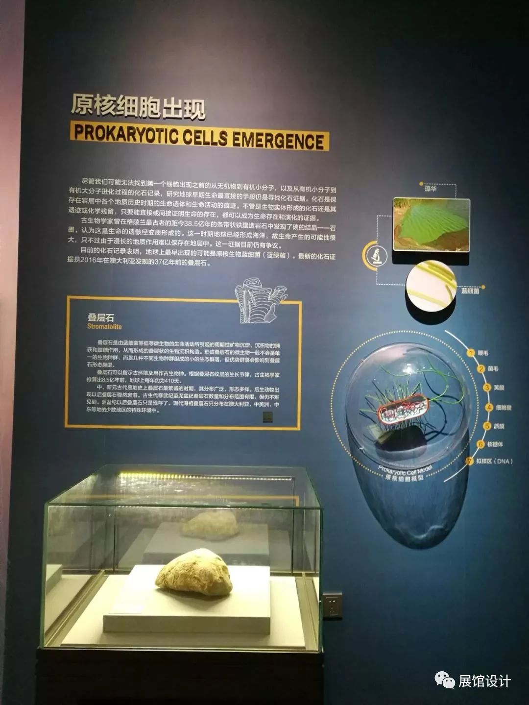 湖南省地质博物馆展厅图片