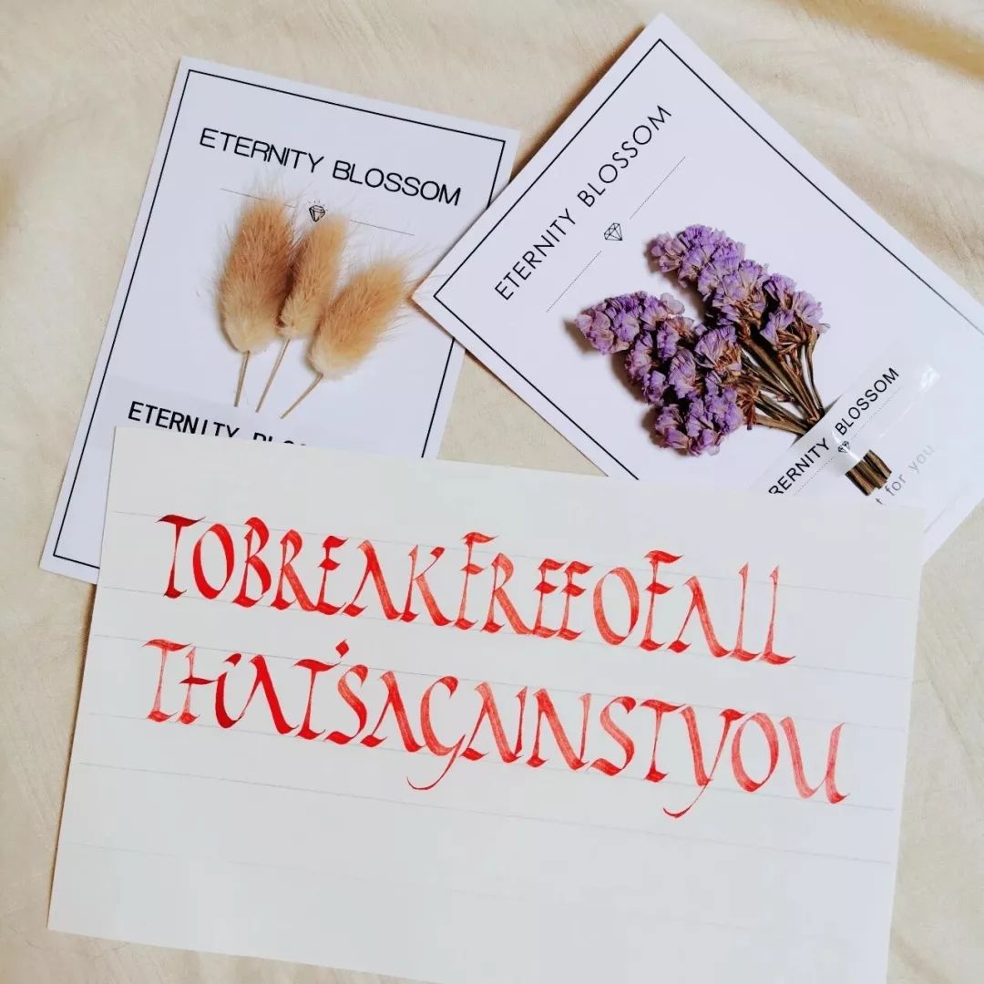 英文作业字体:行楷@小潘真菜字体:楷书@芝麻的两三事@瞳安酱@平淡生活