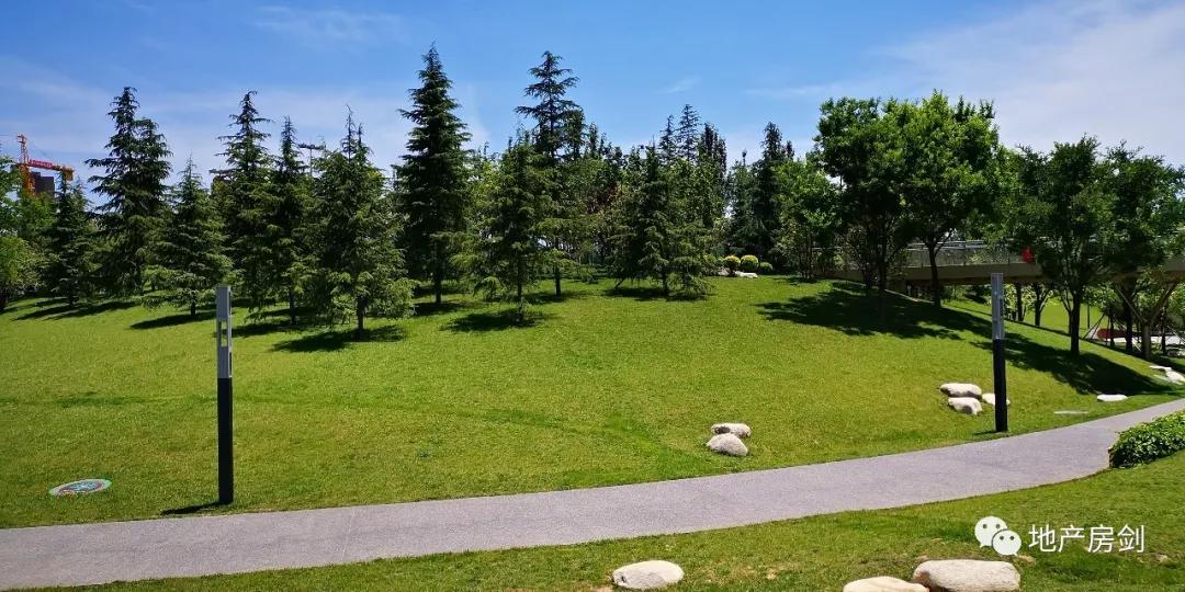 曲江核心大盘,稀缺大平层来袭,这次的中签率又会是多少?_公园