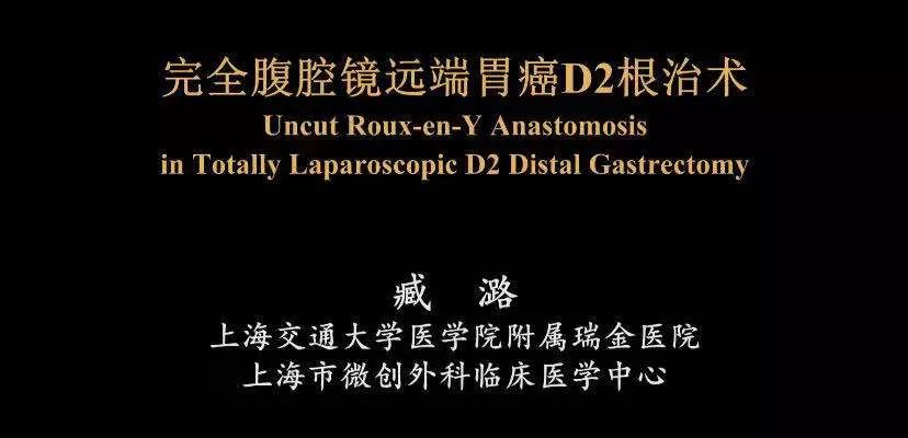 臧潞完全腹腔镜远端胃癌d2根治术