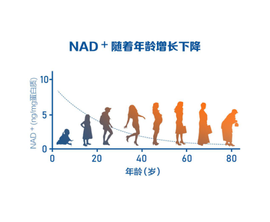 576a2104a4db4629afeb941c471e850d.png