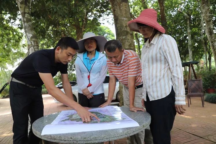 海口市农业农村局长陈芳深入红旗镇调研指导农业产业发展项目建设