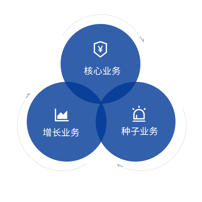 这些问题归根结底就是构建我们的三大业务链:核心业务,增长业务,种子