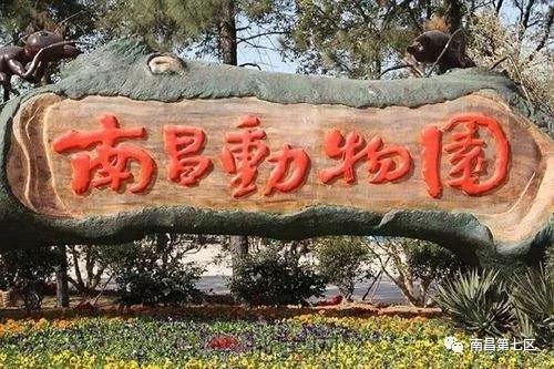 南昌动物园 门口图片