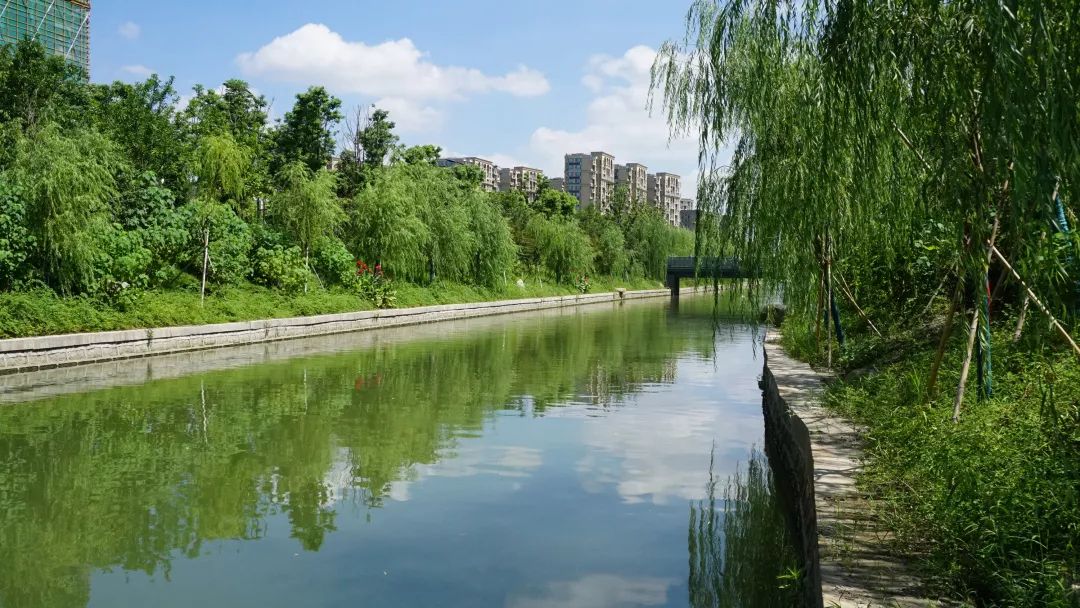 继环丁水系后江干区又有三条美丽河道通过市级现场验收啦