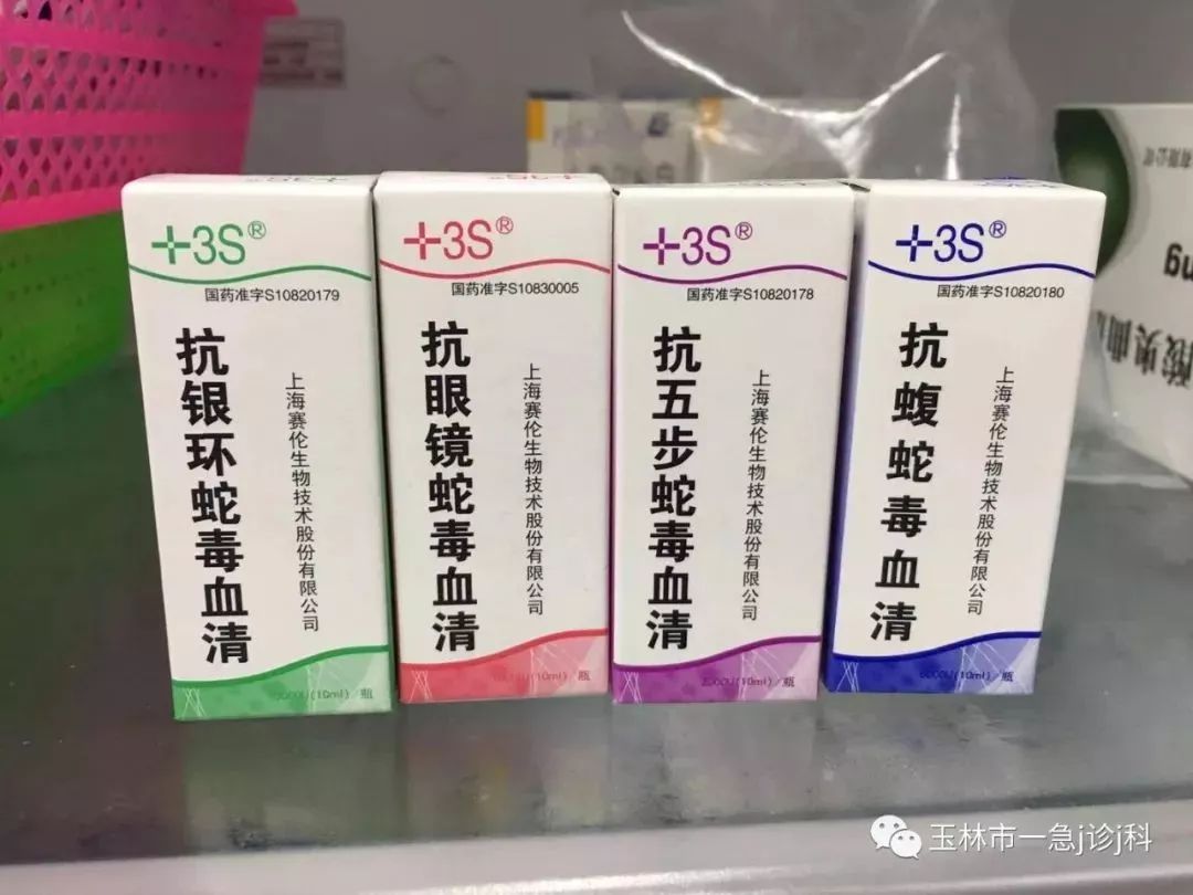 博白有人被眼镜王蛇咬伤他这样做保住了性命