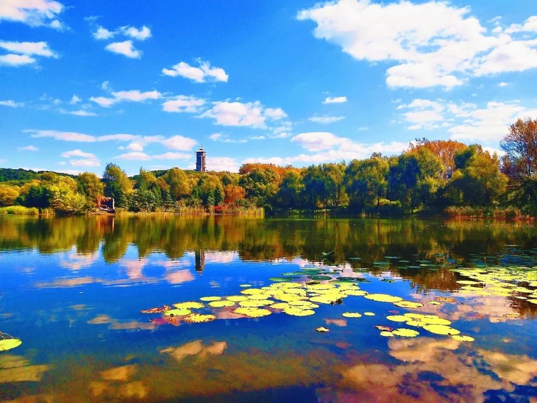 长吉高速国庆节前贯通这条自驾线让你饱览长吉图风光