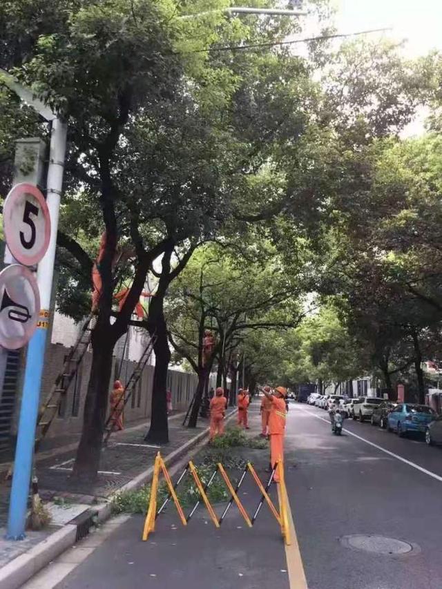 路,临汾路(三泉路-东茭泾,万航渡路(武宁南路-康定路)和愚园路(乌