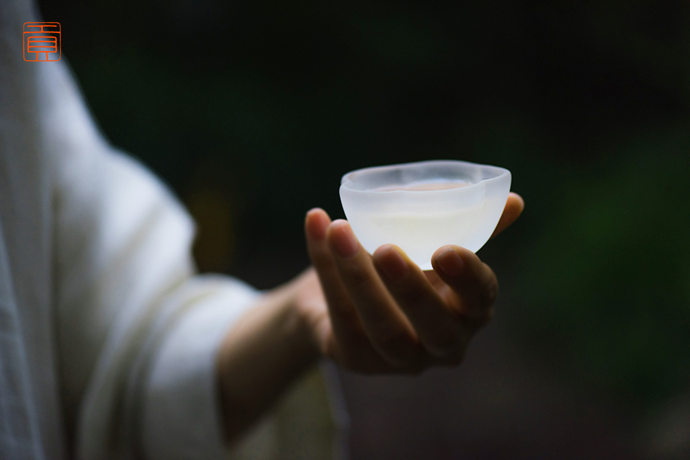 秋日午后泡一盏清茶让所有的苦涩变成回甘