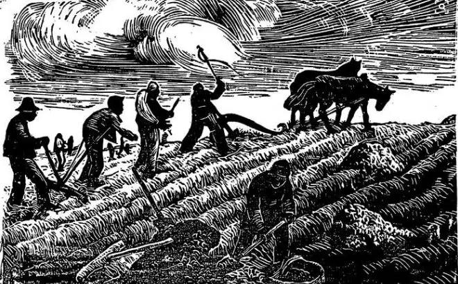 湖北巴东谭祖国支农让我养成了一生热爱劳动的习惯