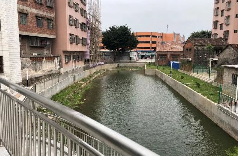 张槎街道召开迎接佛山市2019年第三季度城市管理考评明检工作动员会