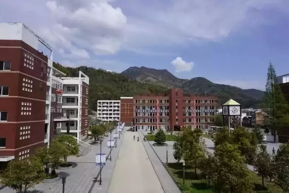 心香一瓣丨我怀恋这里的人更寄望青山中学的明天更美好