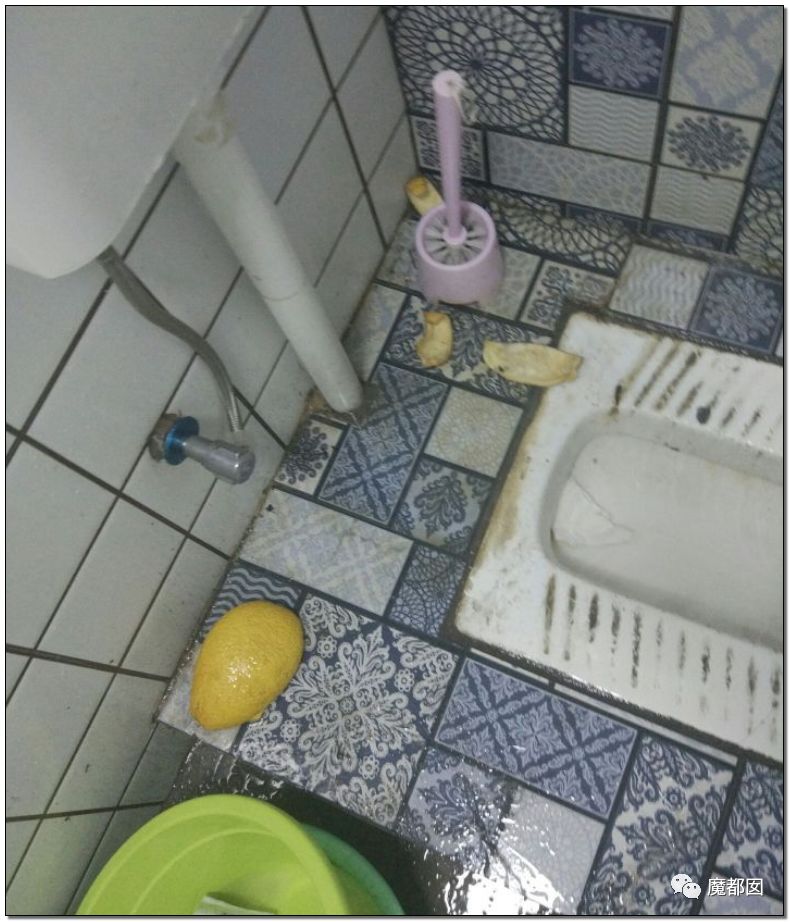 超美百万粉丝女网红退租后竟留下满屋粪便令人作呕