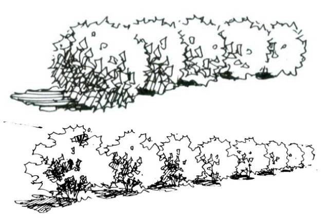 建筑配景灌木丛手绘图片