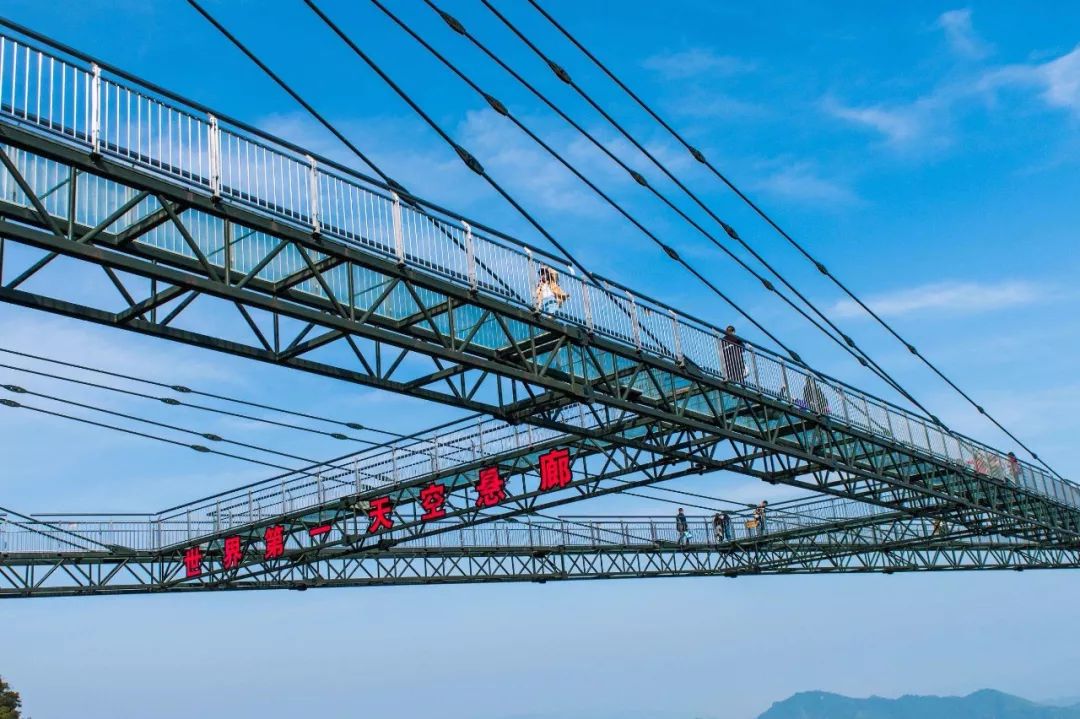 金秋出游不纠结,这四类游总有适合你!_重庆