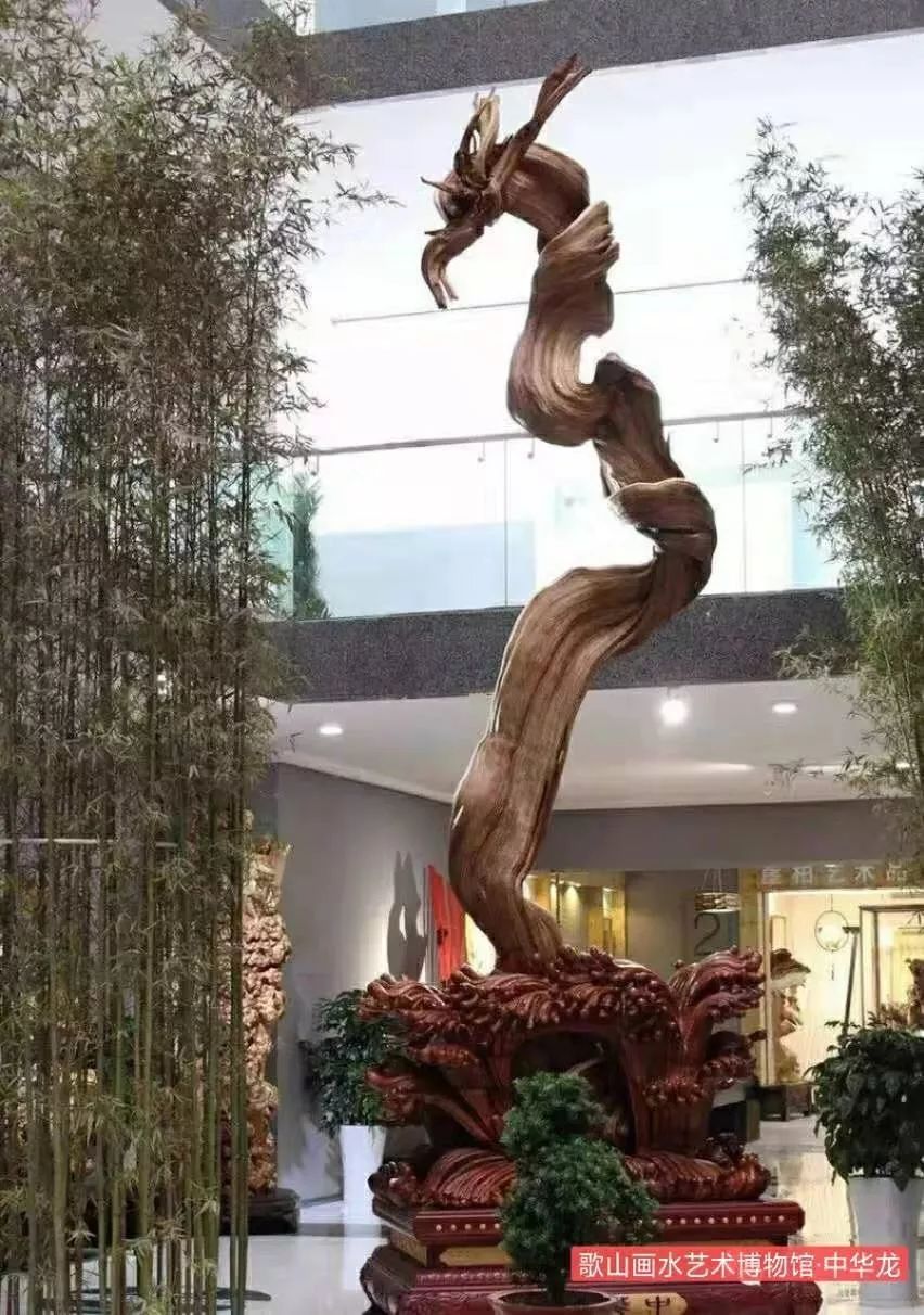 第二届中国崖柏收藏家藏品展藏家论柏崖吴龙勇柏界的当务之急