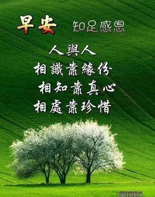 朋友圈早上好正能量问候最新版漂亮图片最美表情图片问候大家