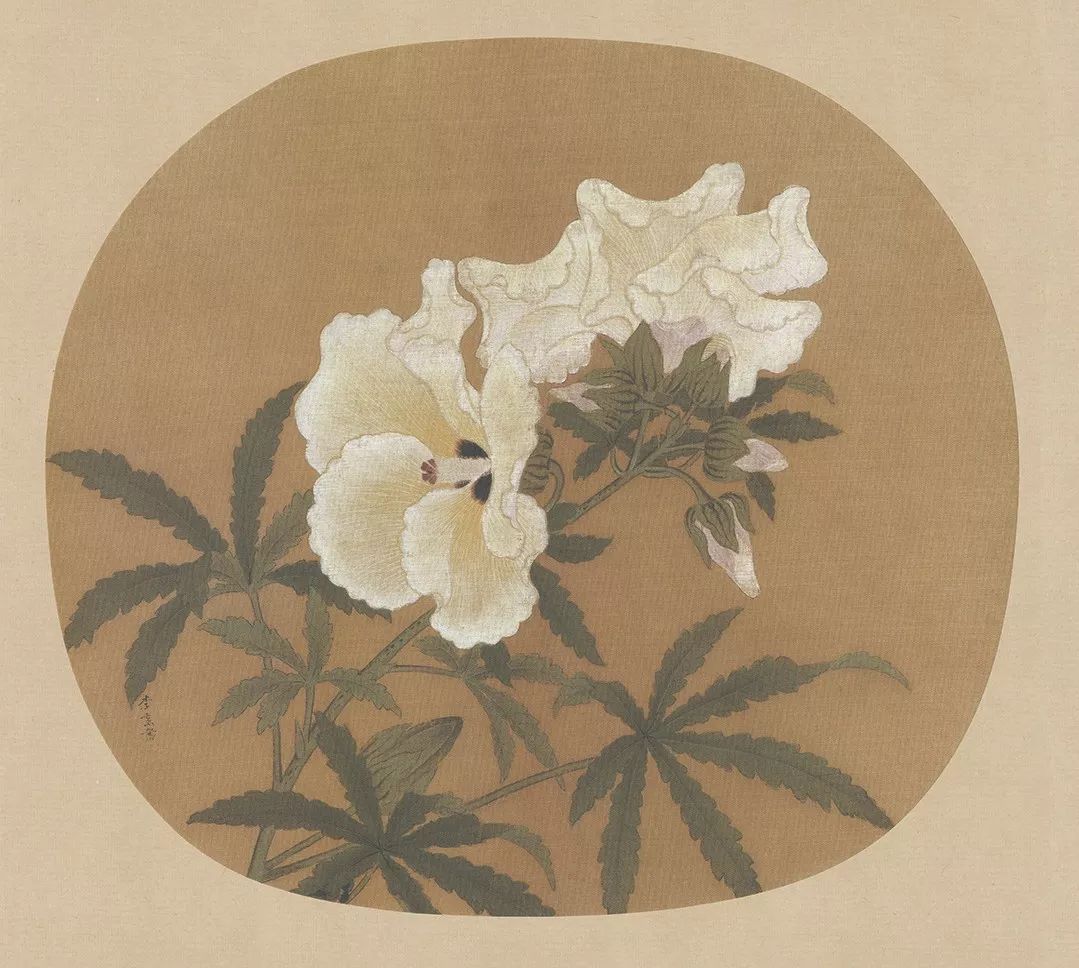 宋代花卉纹样图片