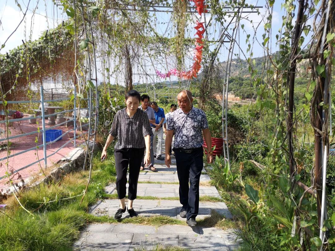 南安市政府王昭昭副市长带队到丰州镇开展科技特派员服务企业情况调研