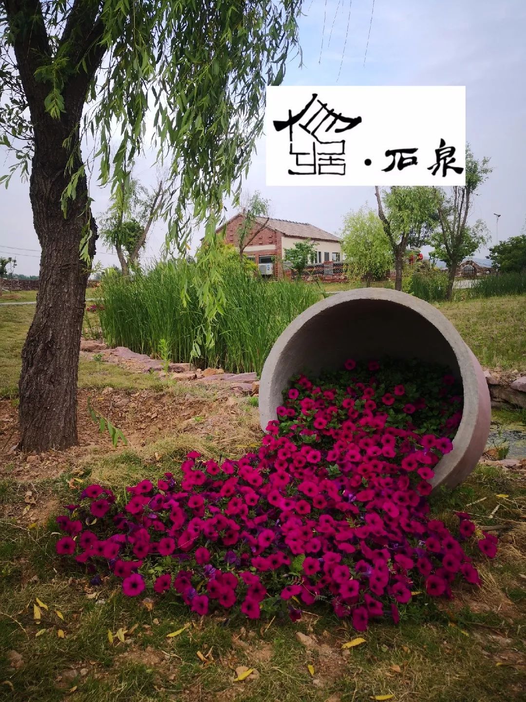 国庆假期去哪玩儿美丽莒南告诉你