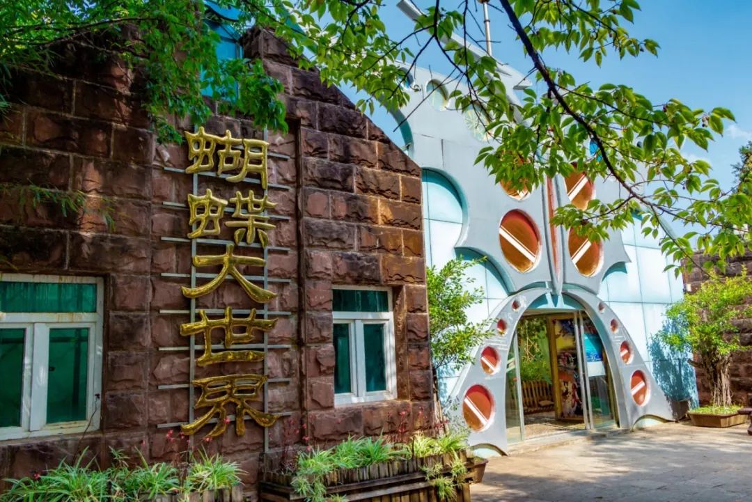 大理蝴蝶泉新玩法奶嘴喂鱼喂松鼠喊泉趣味游戏扎堆