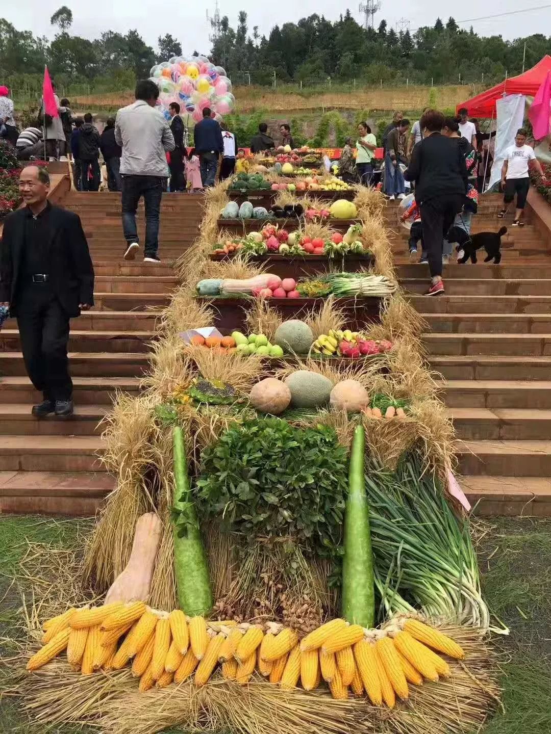 晉寧區2019農民豐收節稻花香裡說豐年夕陽美景惹人醉