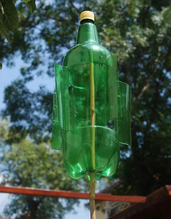 下面的教程教小朋友利用废旧塑料瓶做一个带上"翅膀"的塑料瓶风车