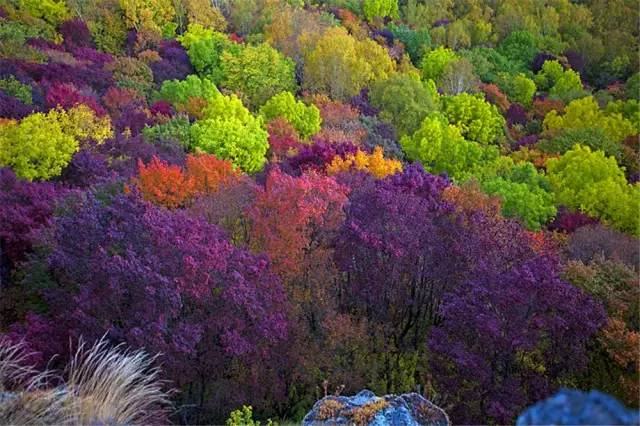 此时仙峰五彩世界长白山森工集团仙峰国家森林公园恭候光临
