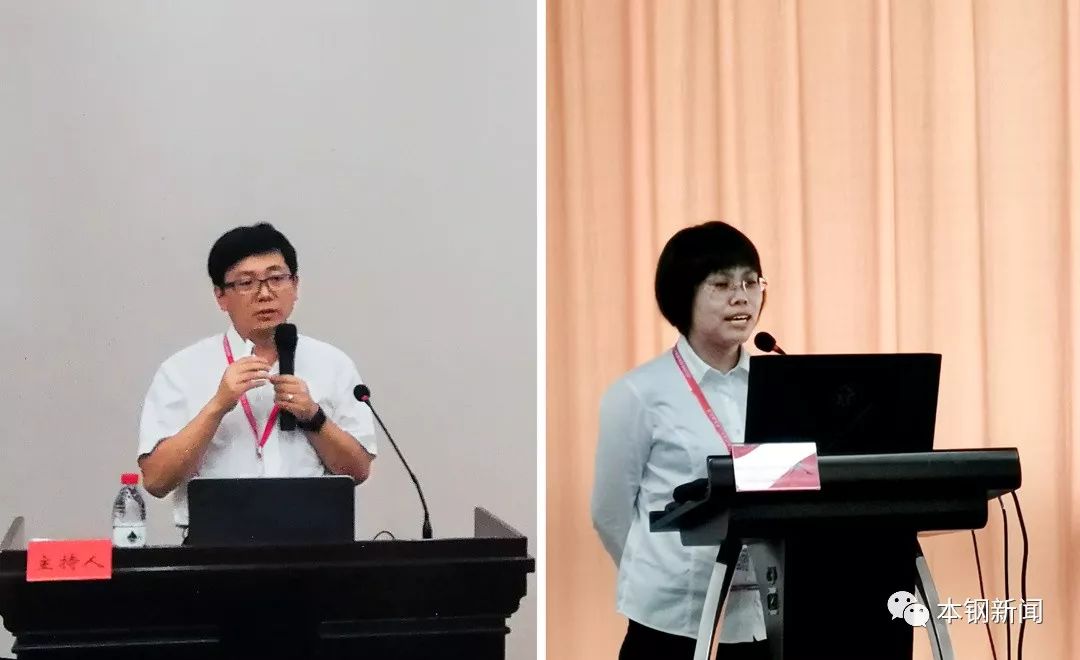 会议期间,板材技术研究院汽车板研究所首席工程师刘宏亮博士和副主任