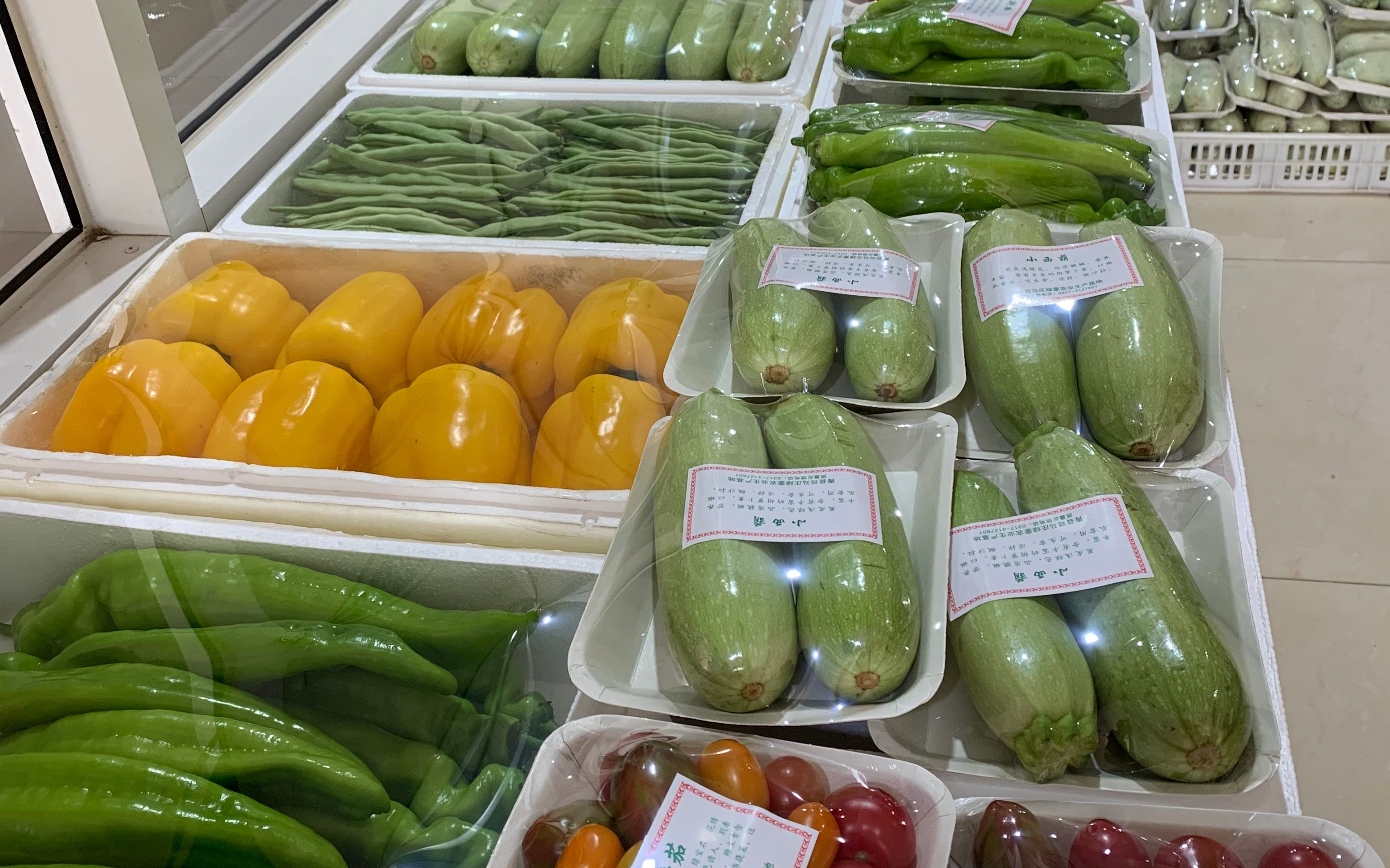 司马庄村:上班签合同种菜 告别凌晨起床的日子