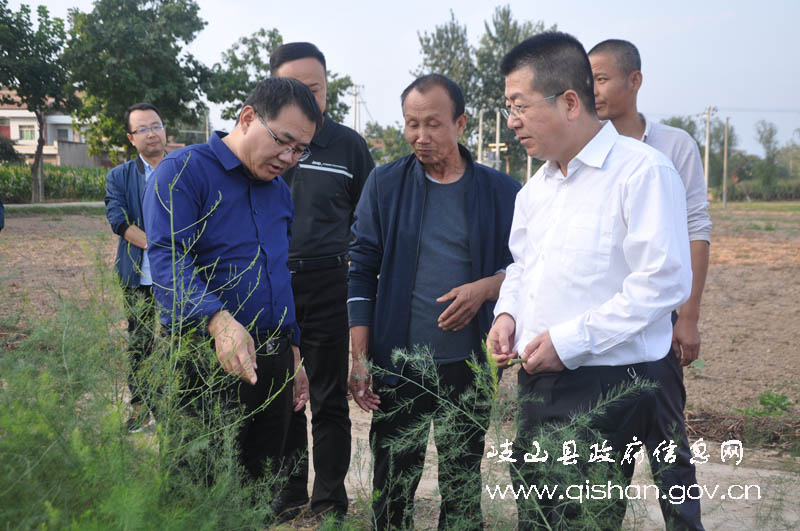 (来源:宝鸡市岐山县人民政府 县长吴维强检查指导全县农村清洁能源