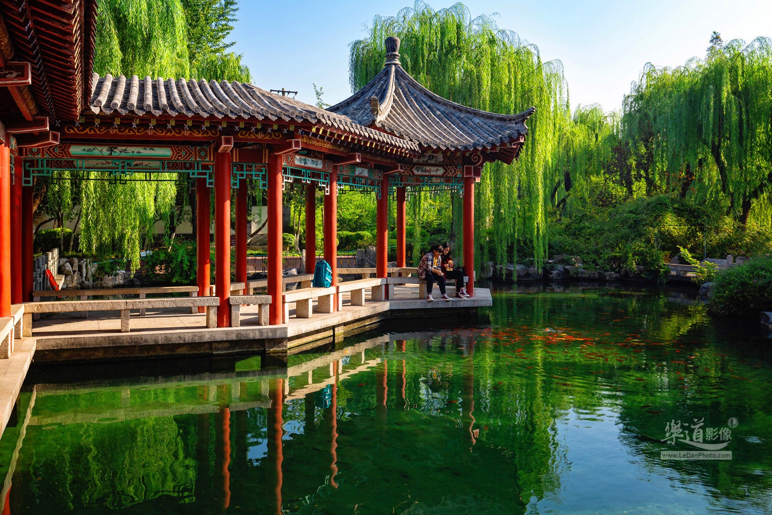 济南新七十二名泉图赏之濂泉与拍摄缘起