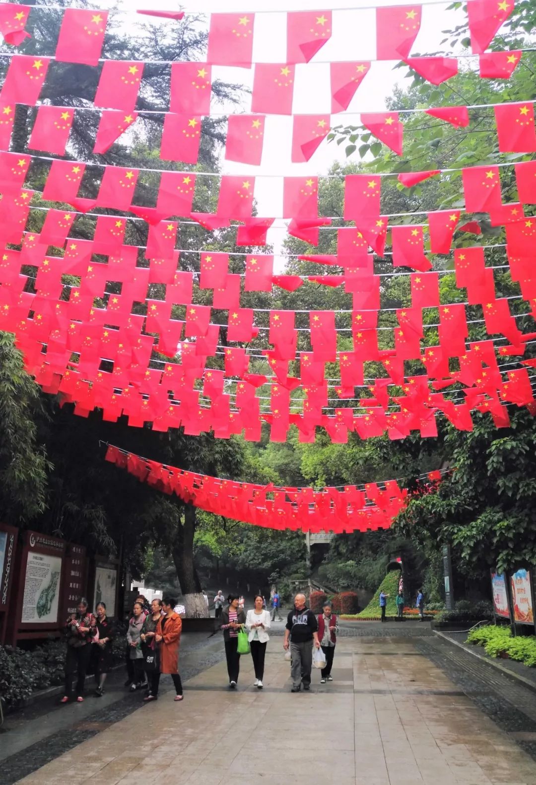 五星红旗迎风飘扬泸州街头尽显中国红