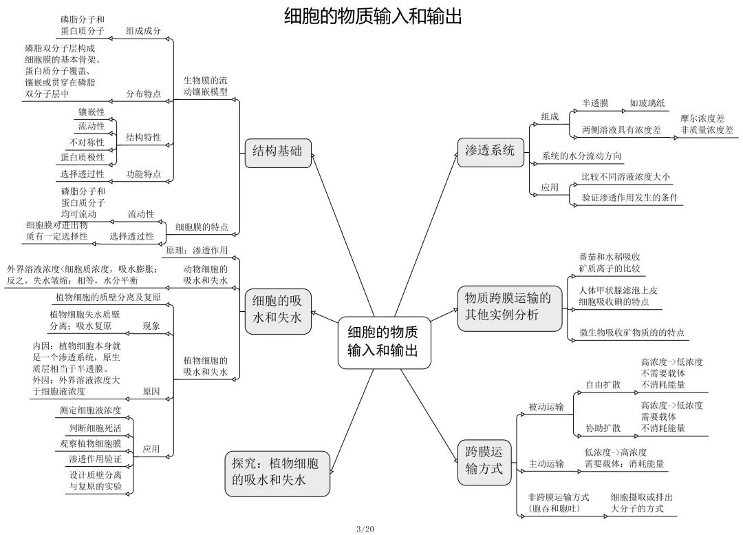 高中生物必修 選修思維導圖最全歸納,從此高中生物無憂!