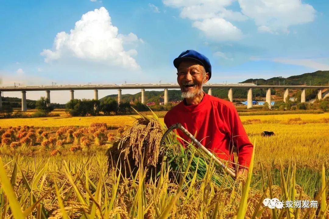 媒体看蛟河我市农民摄影家联展亮相2019中国平遥国际摄影大展