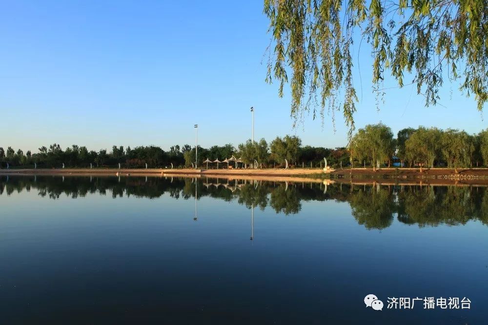 您知道,这都是济阳哪吗?