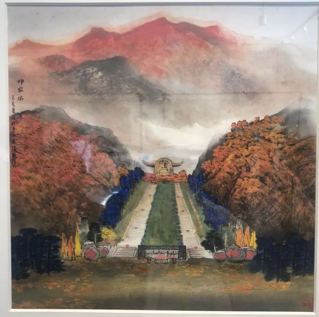 摄影:柯祎,胡冕,万忠医马黎明张珊珊