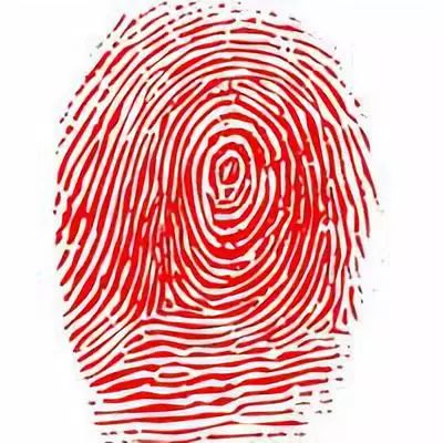 74寻找英雄北疆楷模解良第58个红手印这是一个关于信任的故事