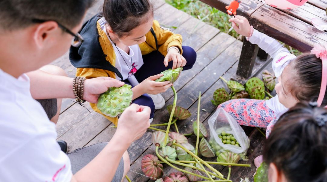 童莲忘返趣玩丰收节亲子自驾研学行走近莲都蘑幻童话探察自然与农耕