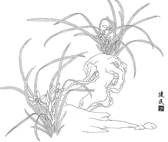 兰花白描示范:元代以郑所南画兰花最为著名,寓意也最为明确.