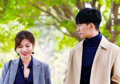 原创天意cp后续张天涨粉十多万陈奕辰掉粉杨凯雯躺赢粉丝破百万