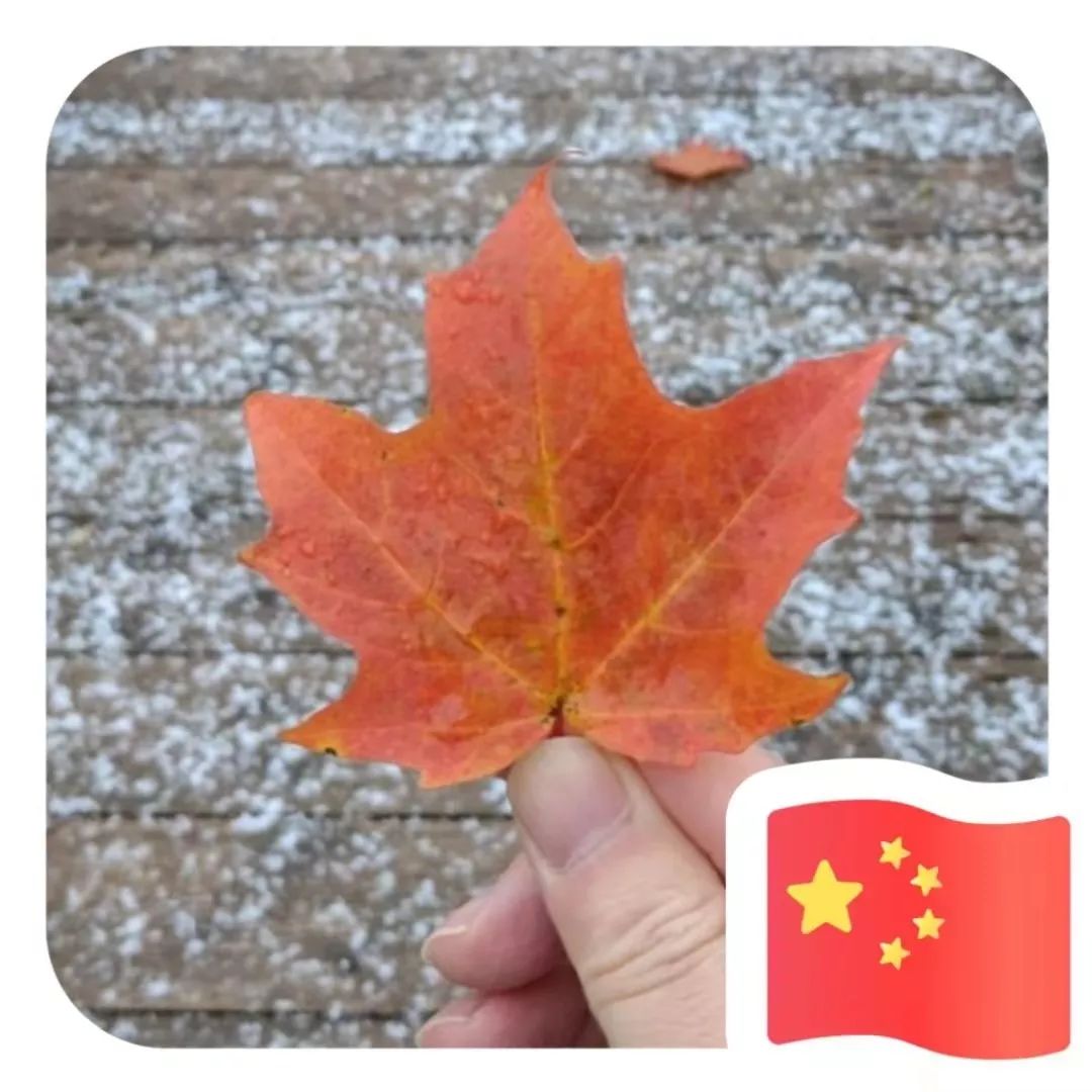 【我想要小红旗!】霸屏朋友圈!加拿大小伙伴别再@微信官方了.